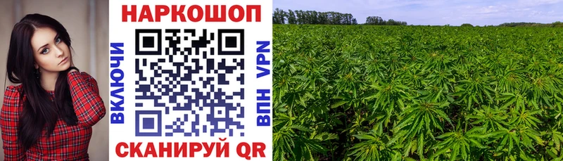 Наркошоп купить COCAIN  Конопля  Псилоцибиновые грибы  Гашиш  Меф  СОЛЬ  Муром