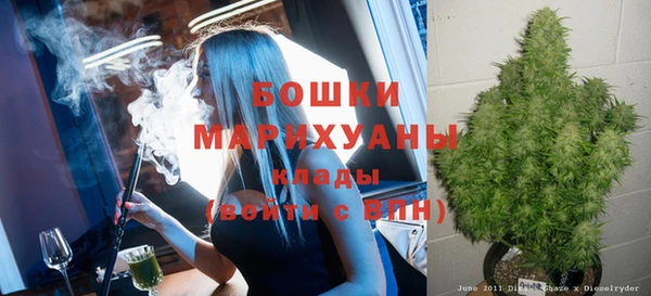 mdpv Новозыбков