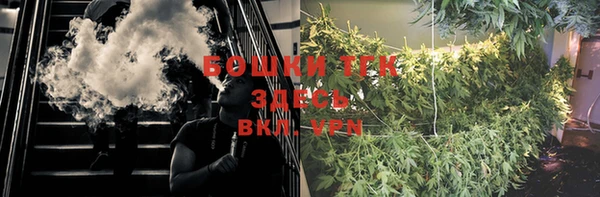 дмт Новокубанск